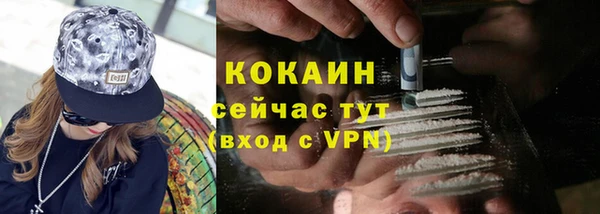 ГАЛЛЮЦИНОГЕННЫЕ ГРИБЫ Пересвет