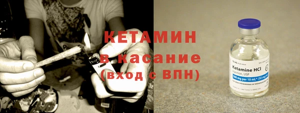 индика Пестово