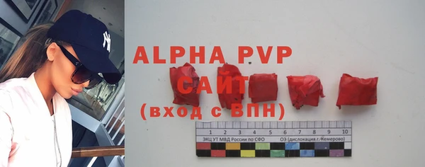 ГАЛЛЮЦИНОГЕННЫЕ ГРИБЫ Пересвет