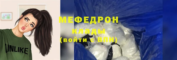 индика Пестово