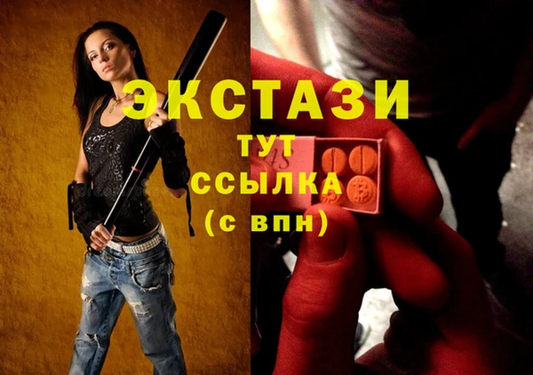 индика Пестово