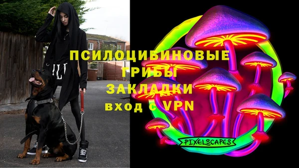 индика Пестово