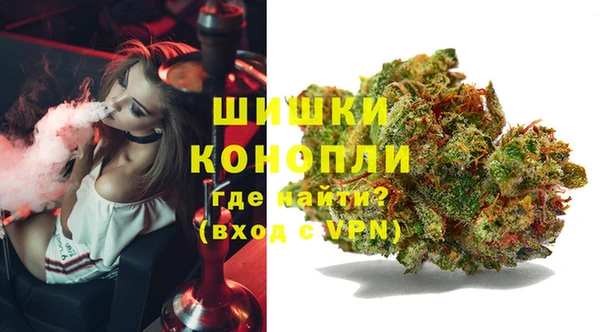 ПСИЛОЦИБИНОВЫЕ ГРИБЫ Переславль-Залесский