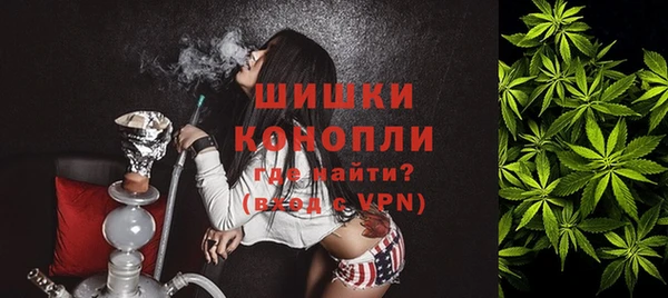 индика Пестово