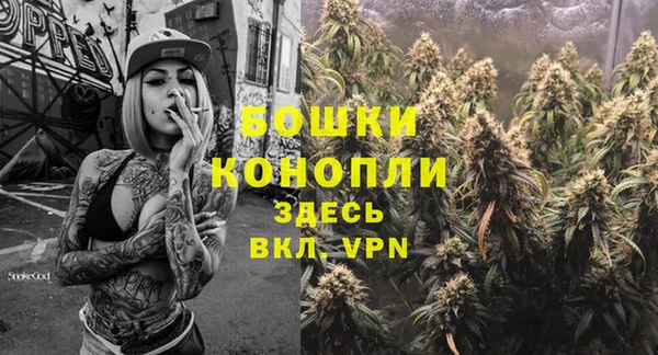 ГАЛЛЮЦИНОГЕННЫЕ ГРИБЫ Пересвет