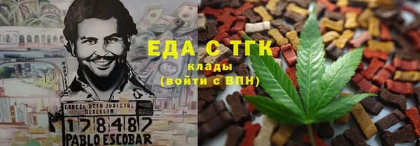 индика Пестово