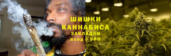 индика Пестово